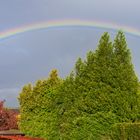 Regenbogen in der Abendsonne