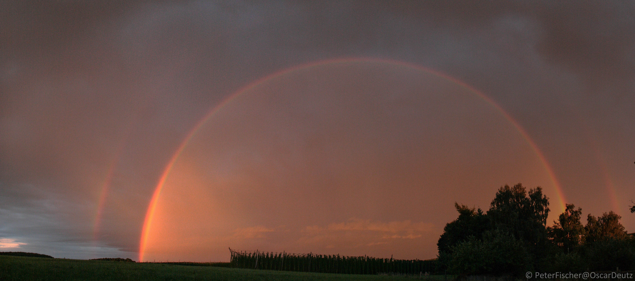 Regenbogen in der Hallertau