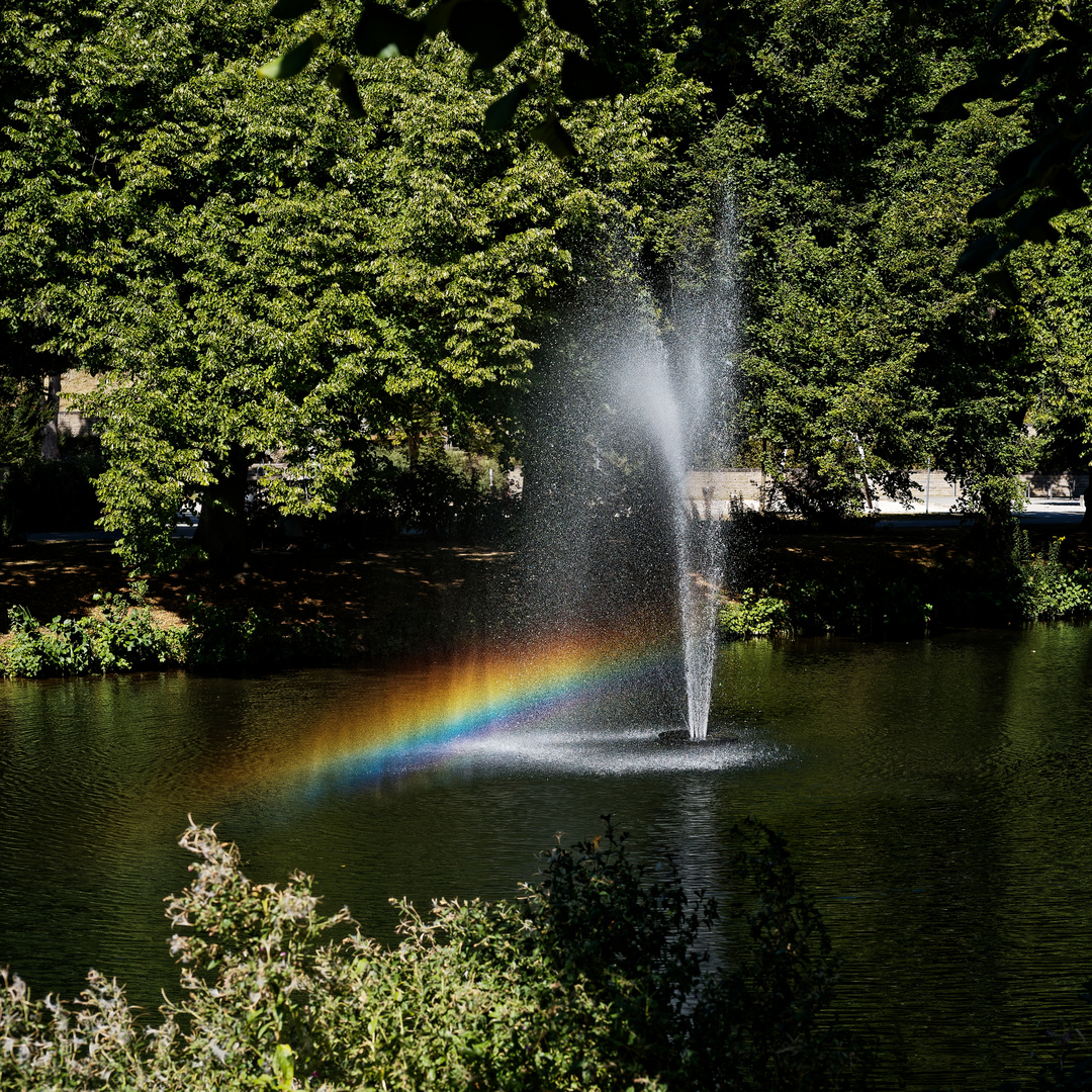 Regenbogen in der Nagold