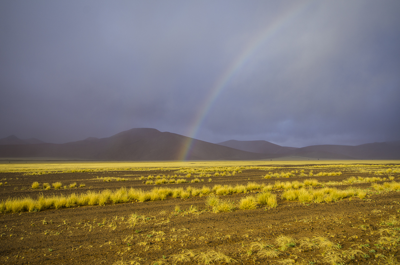 Regenbogen in der Namib