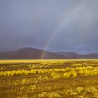 Regenbogen in der Namib