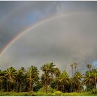 Regenbogen in der Südsee