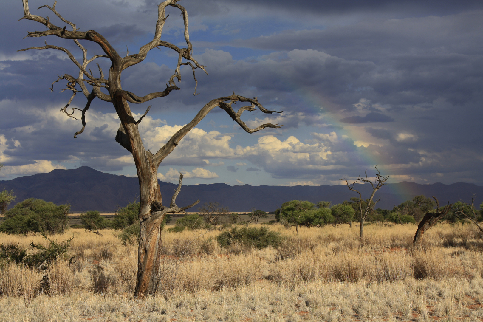 Regenbogen in der Wüste