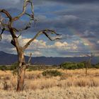 Regenbogen in der Wüste