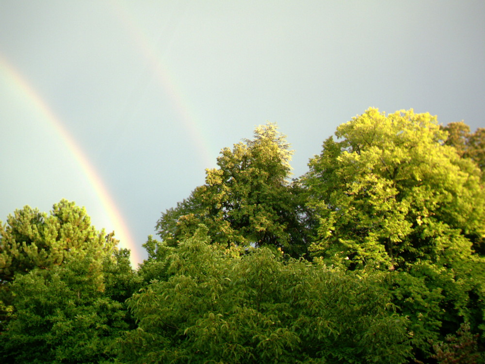 Regenbogen in doppelter Ausführung