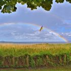 Regenbogen in Eckernförde