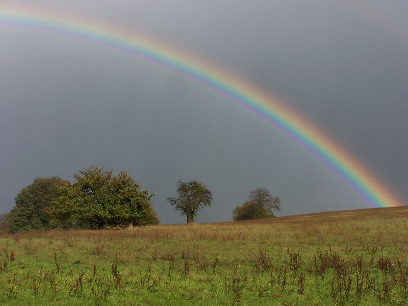 Regenbogen in France