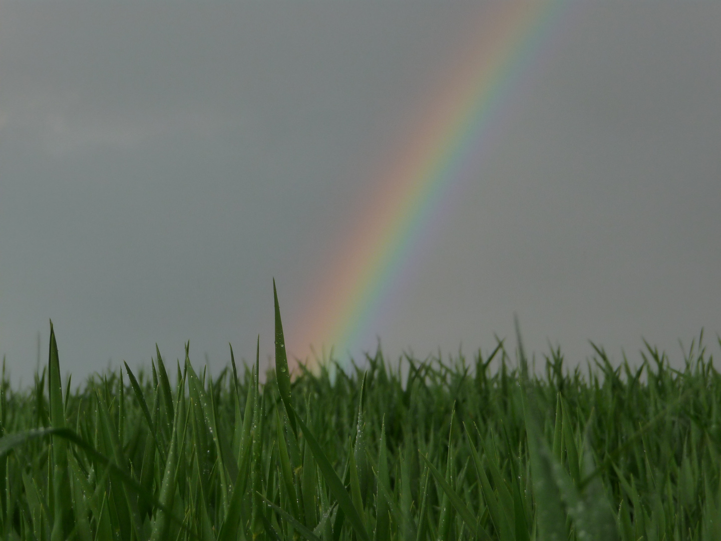 Regenbogen in Heiligenhaus