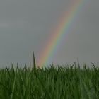 Regenbogen in Heiligenhaus