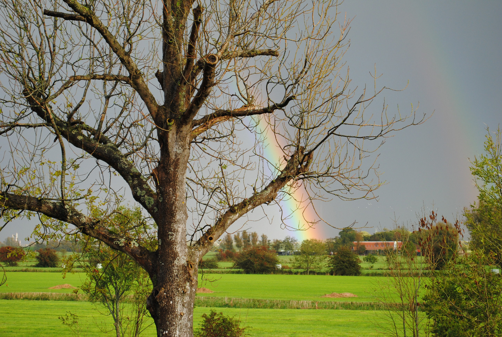 Regenbogen in Hooksiel