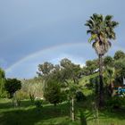 Regenbogen in meinem Garten im Alentejo