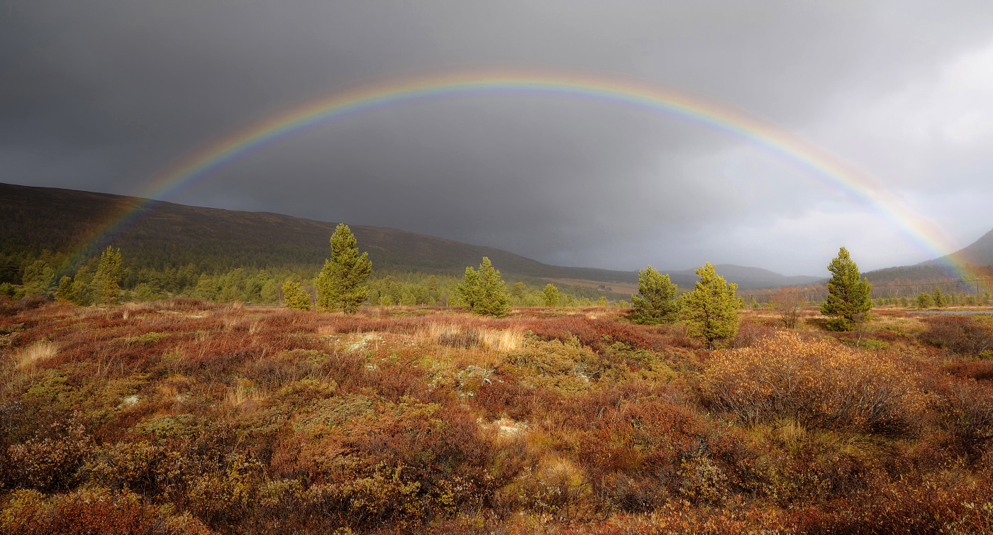 Regenbogen in Norwegen