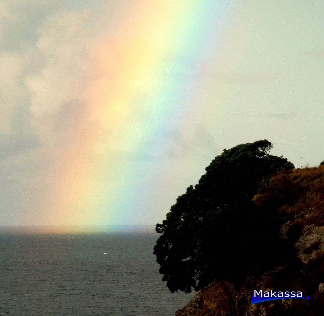 Regenbogen in NZ