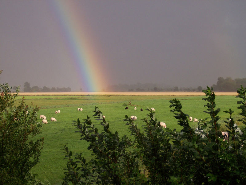 Regenbogen in Oldenswort / Eiderstedt