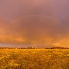 Regenbogen in tollem Abendlicht