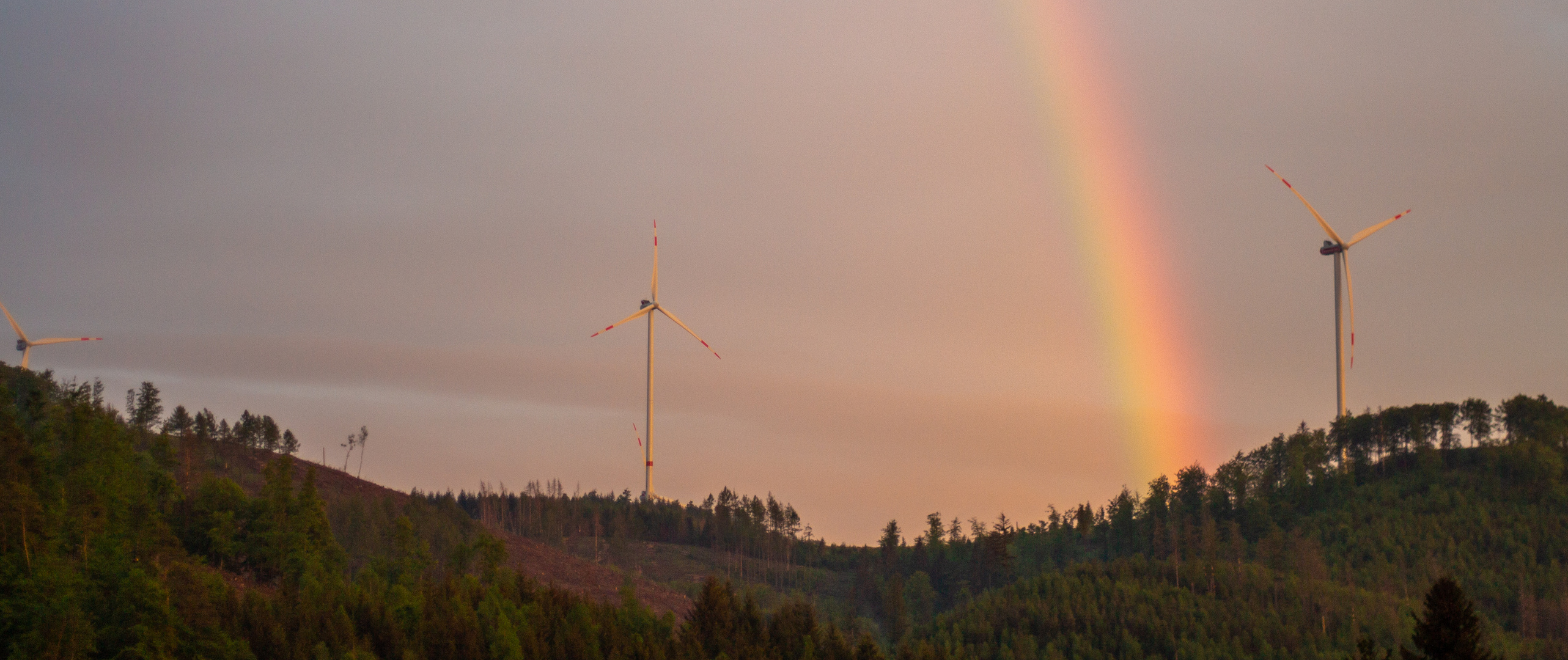 Regenbogen in Wittgenstein 