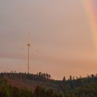 Regenbogen in Wittgenstein 