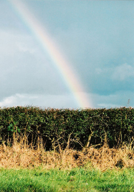 Regenbogen Irland