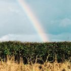 Regenbogen Irland