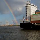 Regenbogen mit Container