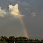 Regenbogen mit Störchen