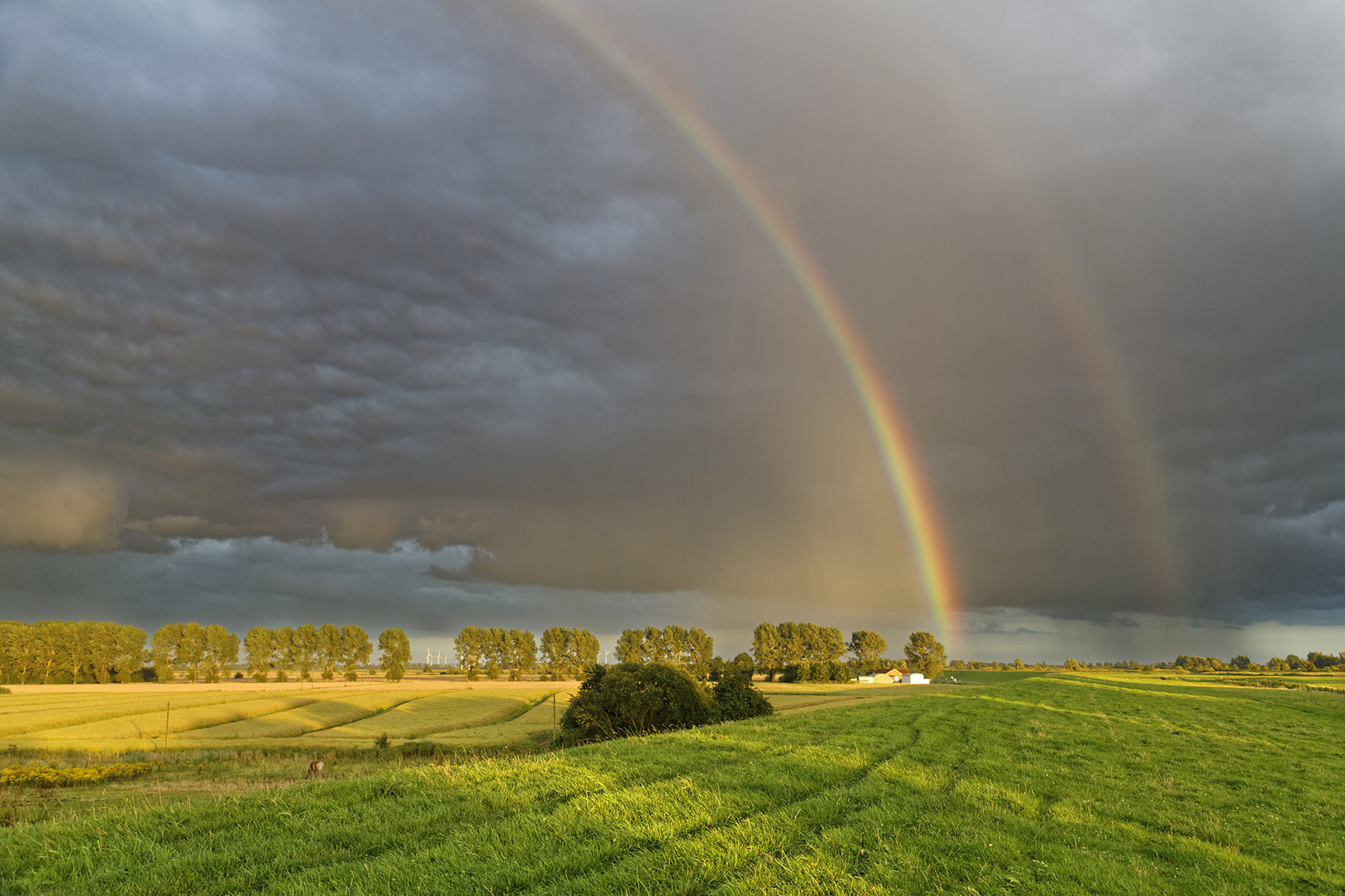 Regenbogen nach einem Unwetter im Abendlicht