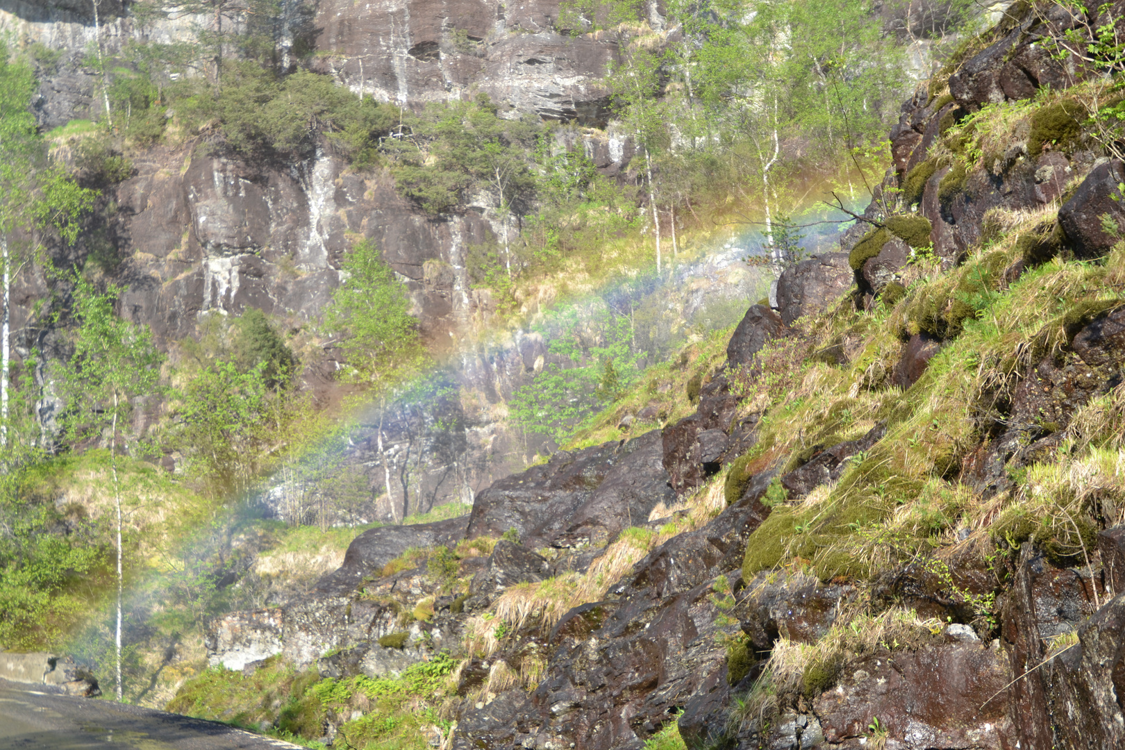 Regenbogen Norwegen