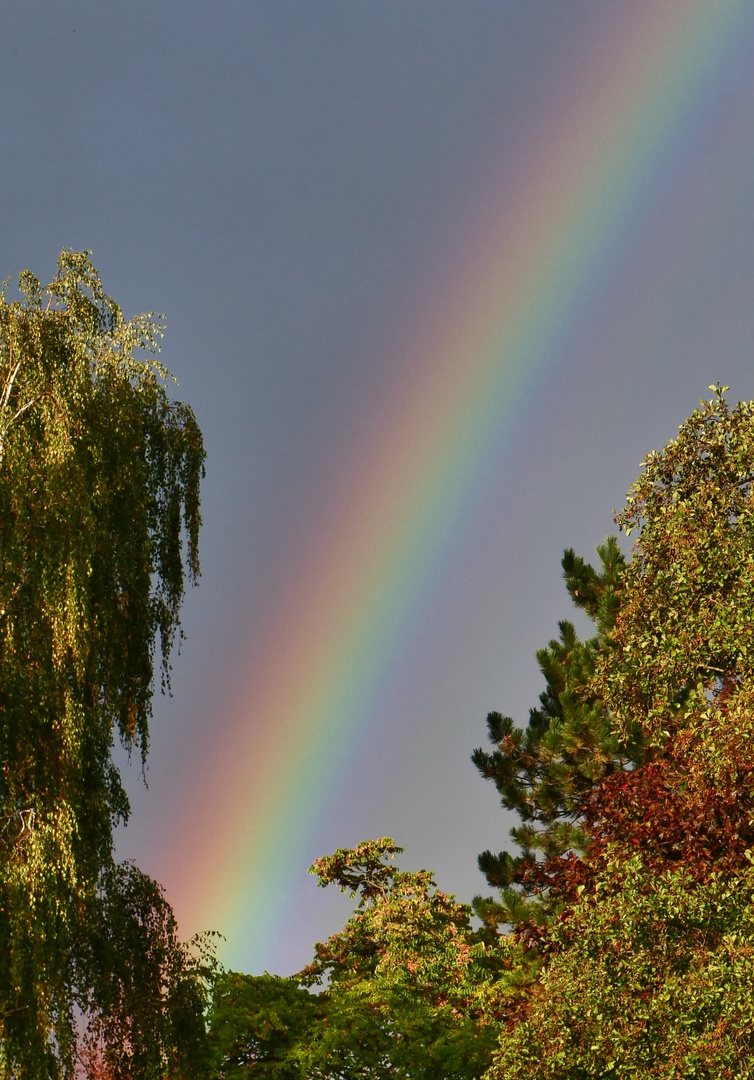 Regenbogen Nr.2 Foto & Bild | regenbögen, wetter, natur Bilder auf