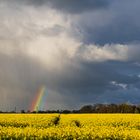 Regenbogen (ohne Bogen)