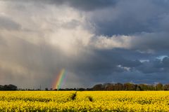 Regenbogen (ohne Bogen)