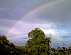 Regenbogen-PanomaraLinks