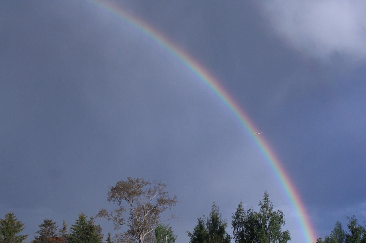 Regenbogen pur