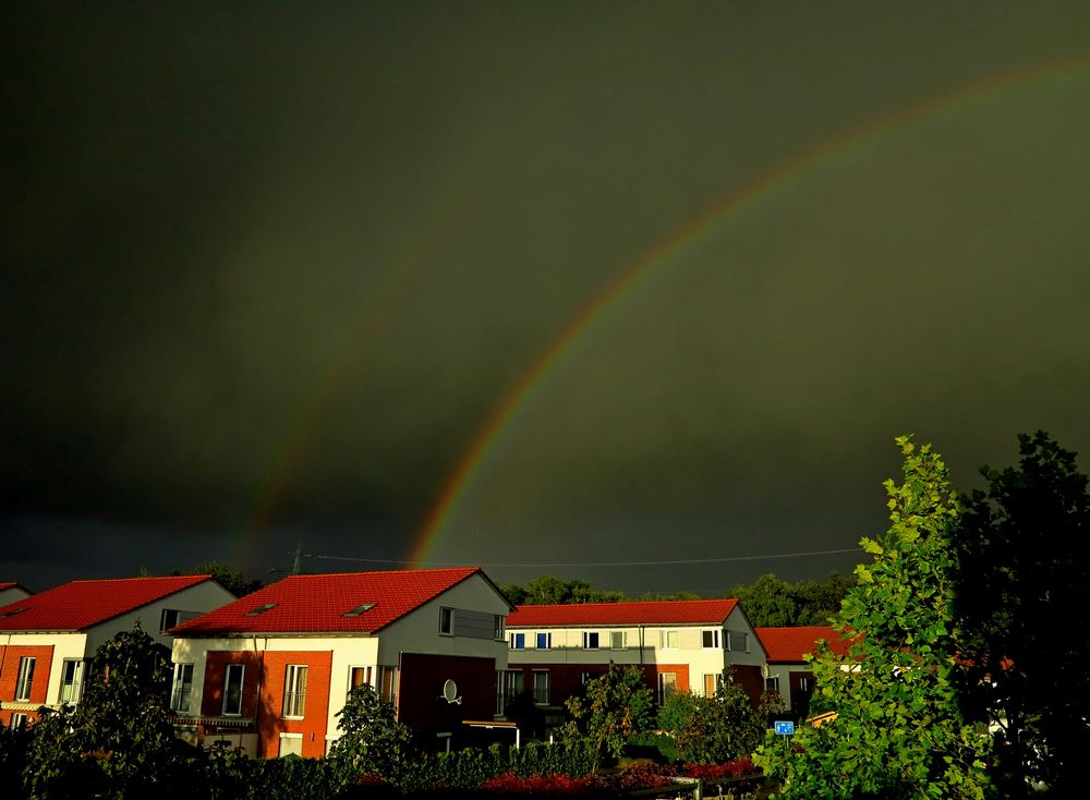 Regenbogen - Rainbow