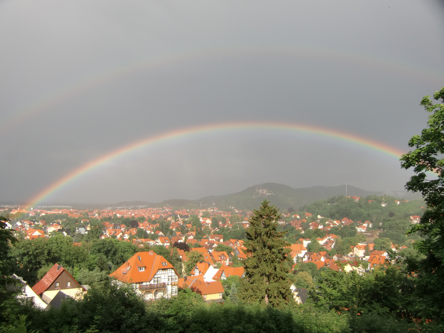 Regenbogen - rainbow