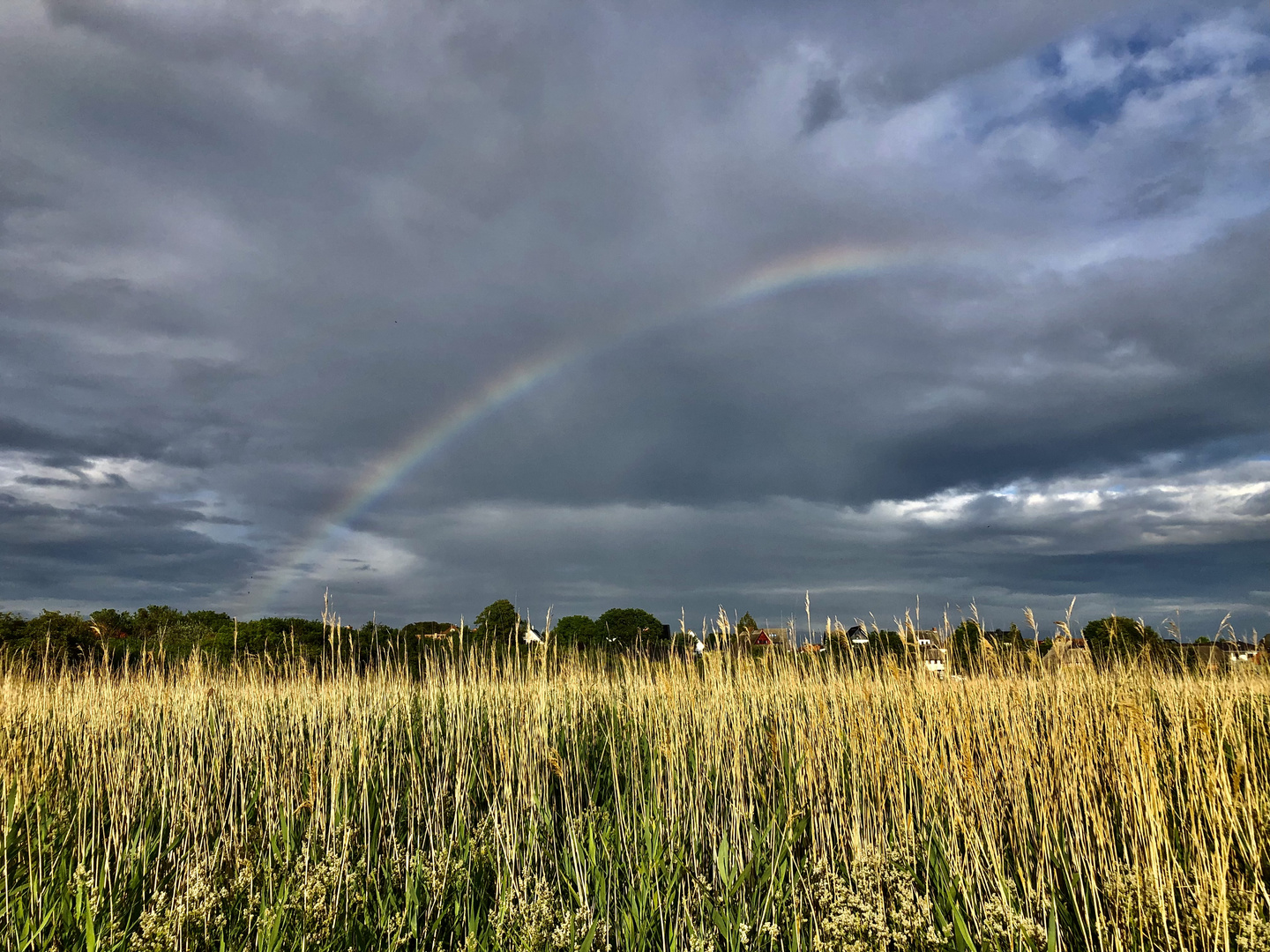 Regenbogen Redentin-Fischkaten 