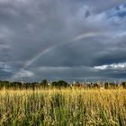 Regenbogen Redentin-Fischkaten 