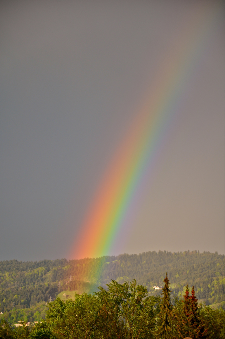 Regenbogen Schnappschuß