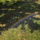 "Regenbogen-Selfie"