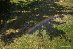 "Regenbogen-Selfie"