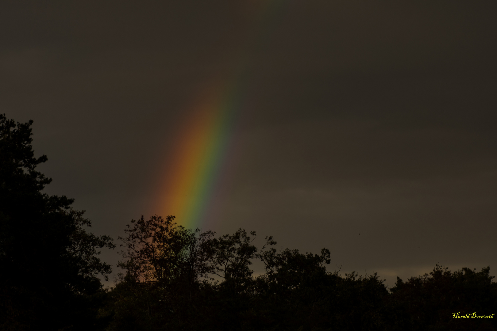 Regenbogen-Spektralfarben