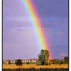 Regenbogen streift Baum