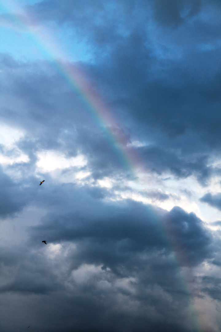 Regenbogen suchen...