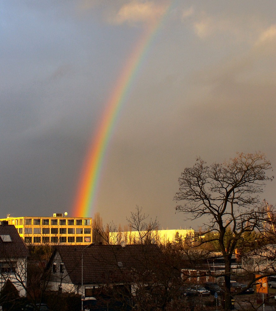 Regenbogen - Symbol der Sehnsucht