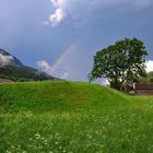 ...Regenbogen Teil II...