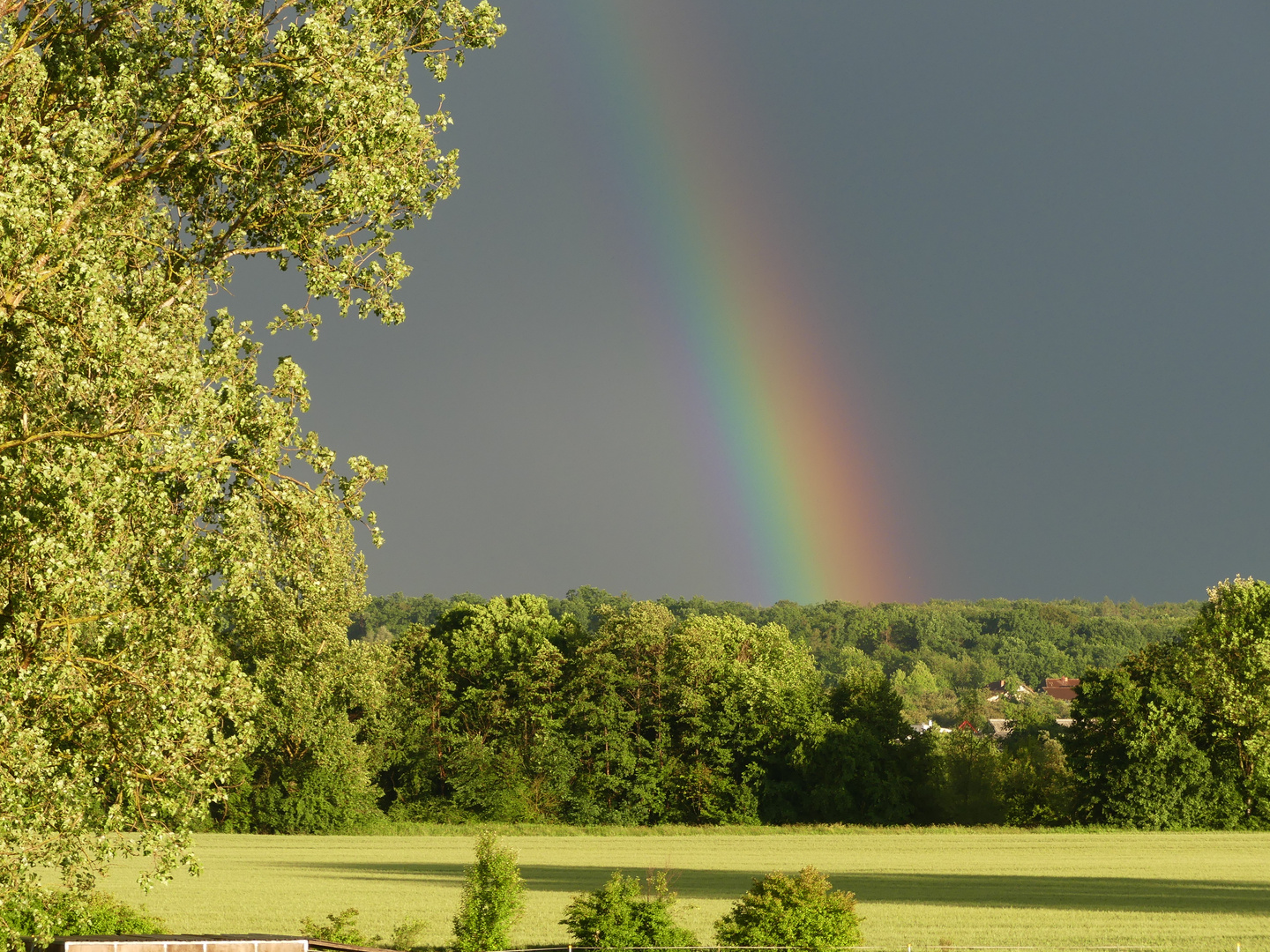 Regenbogen - Träume