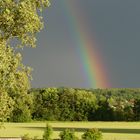 Regenbogen - Träume