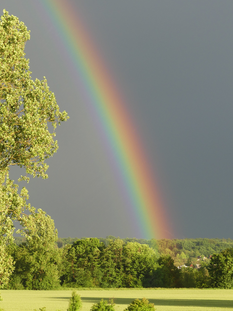 Regenbogen - Träume