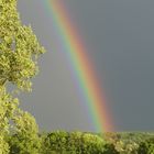 Regenbogen - Träume