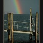 Regenbogen trifft Bodensee