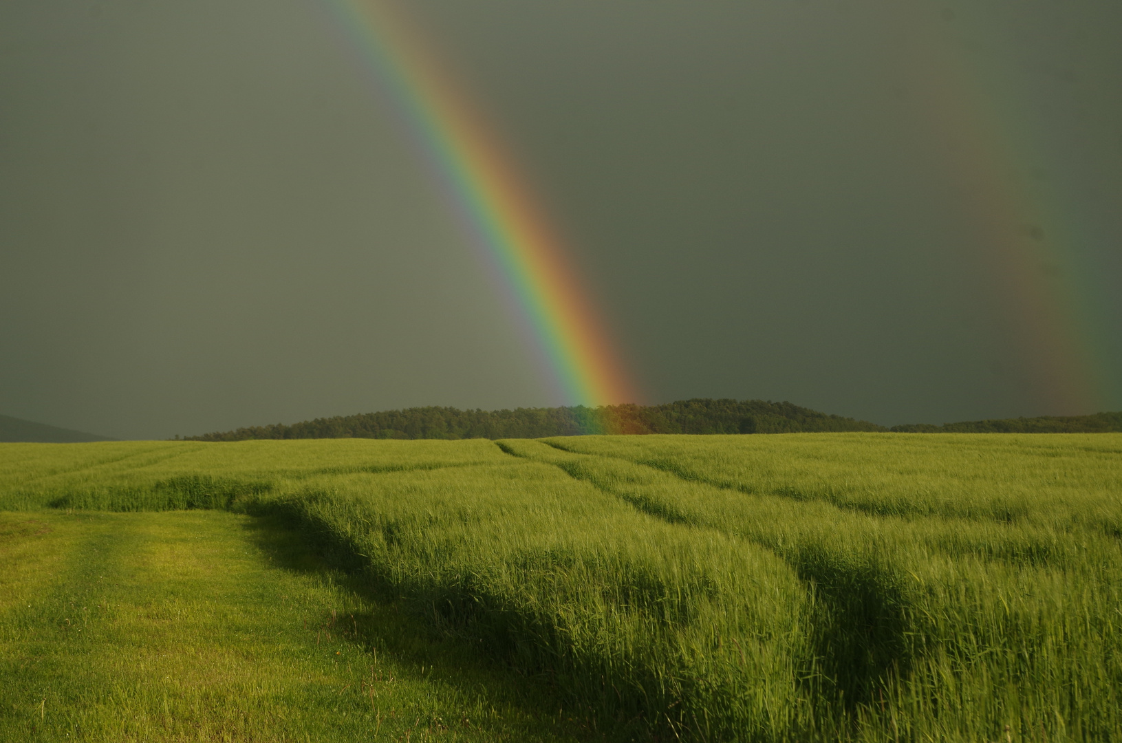 Regenbogen trifft Feld